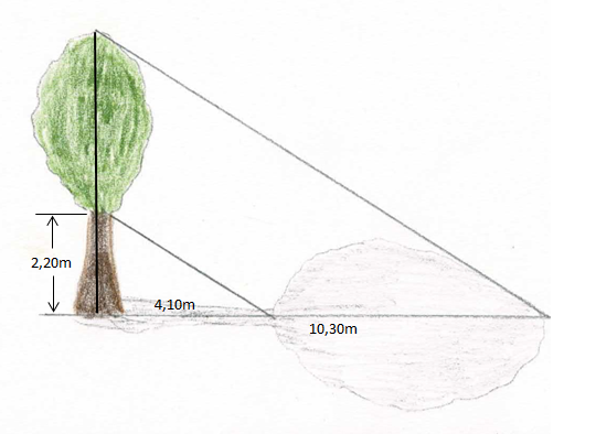 Schattenmethode Beispiel Baum.png