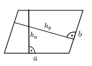 Parallelogramm mit zwei Höhen.png