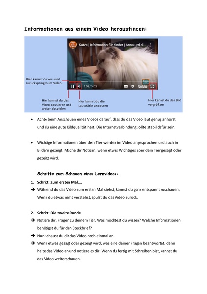 Datei:Informationen in Lernvideo fidnen.pdf
