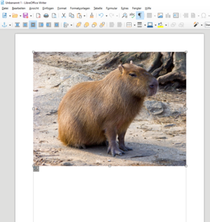 Capybara in LibreOffice.png