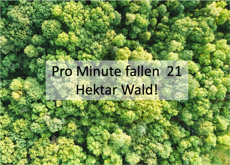 Datei:Wald2.0.png